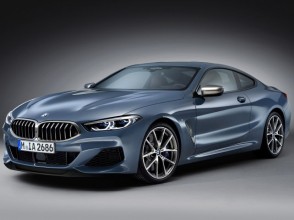 Фотографии BMW 8-я серия купе 2019 года